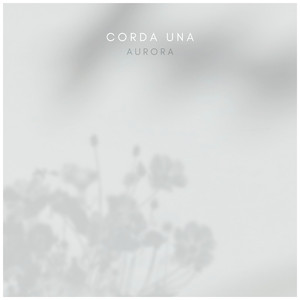 娇小性爱高清管
